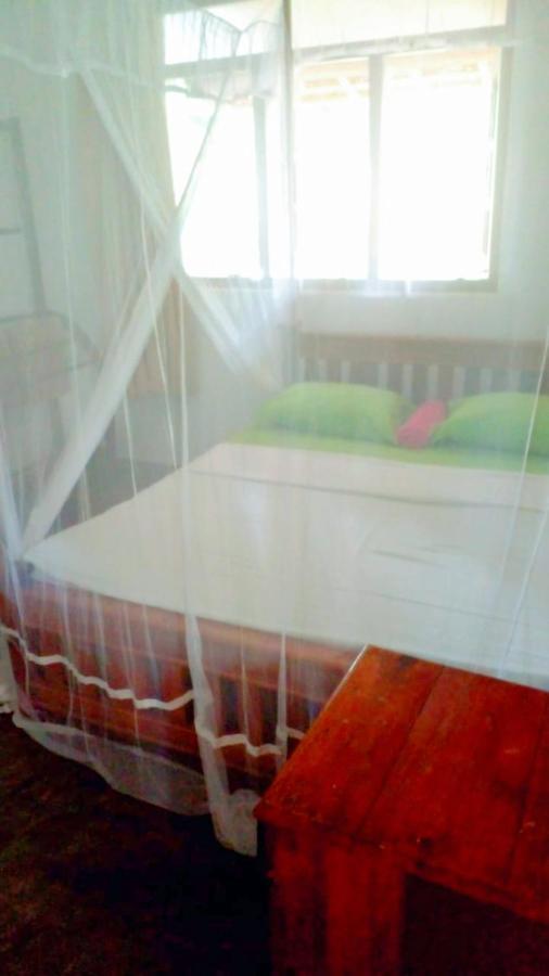 Talalla Bay Inn Beach Bangolow Екстер'єр фото